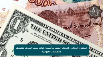 استقرار الدولار.. البنوك المصرية تُسجل ثبات سعر الصرف منتصف التعاملات اليومية